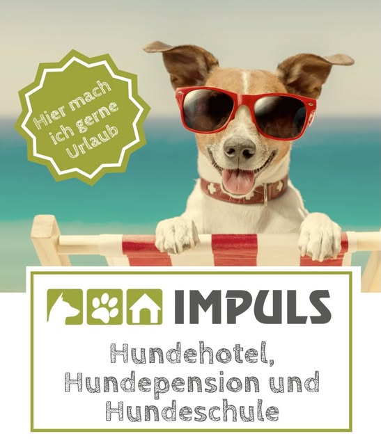 IMPULS-Urlaubsmotiv mit Hund in Sonnenbrille